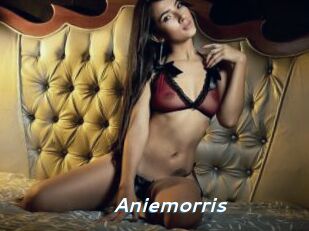 Aniemorris