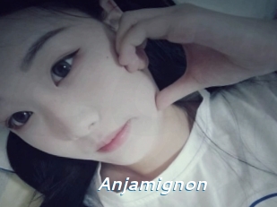 Anjamignon