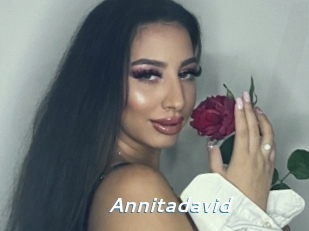 Annitadavid