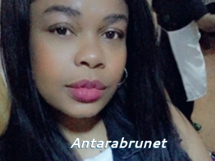 Antarabrunet