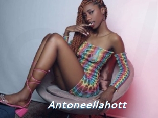 antoneellahott Camgirls Live