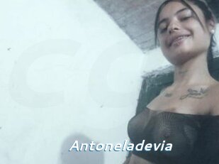 Antoneladevia