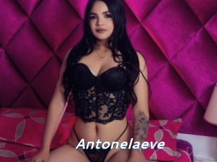 Antonelaeve