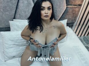 Antonelamiller
