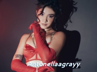 Antonellaagrayy