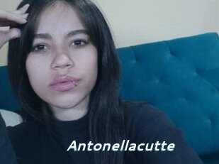 Antonellacutte