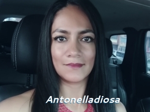 Antonelladiosa
