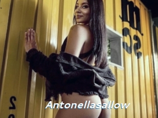 Antonellasallow