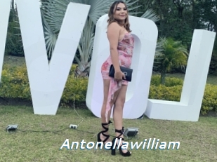 Antonellawilliam
