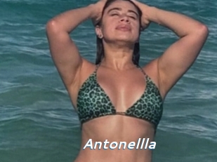 Antonellla