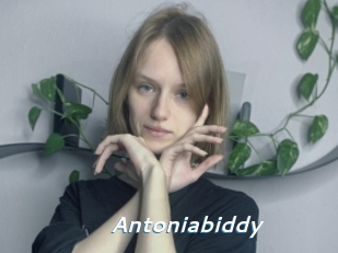 Antoniabiddy