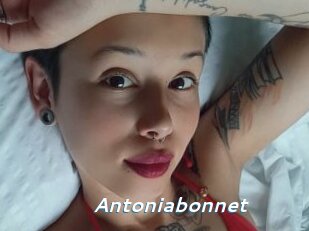 Antoniabonnet
