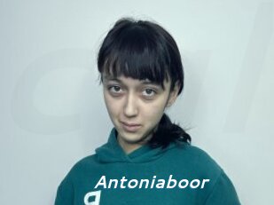 Antoniaboor