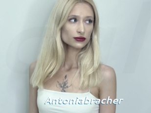 Antoniabracher