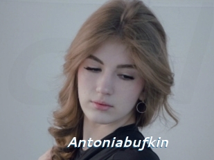 Antoniabufkin