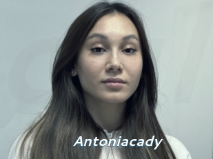 Antoniacady