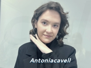Antoniacavell