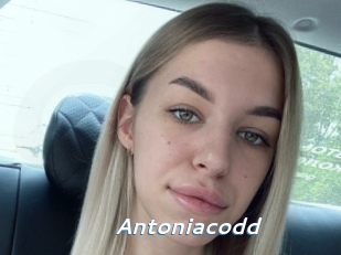 Antoniacodd