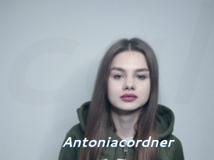 antoniacordner Camgirls Live