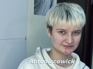 Antoniacowick
