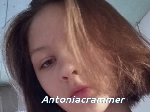 Antoniacrammer