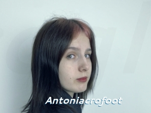 Antoniacrofoot