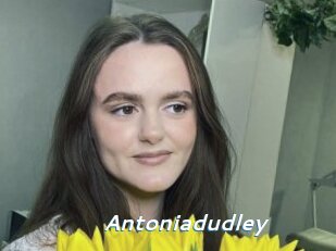Antoniadudley