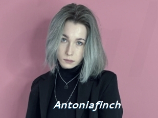 Antoniafinch