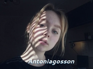 Antoniagosson