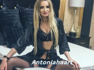 Antoniahaart