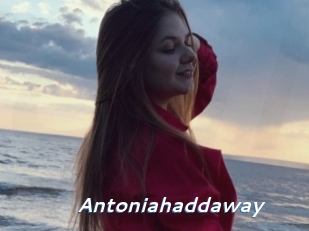 Antoniahaddaway