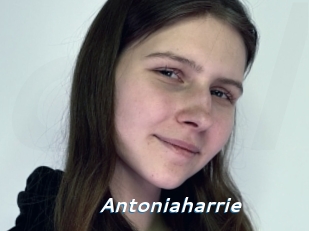 Antoniaharrie