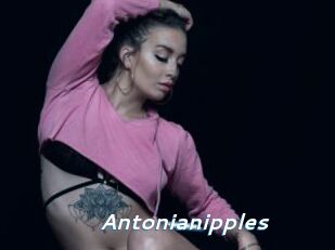 Antonianipples