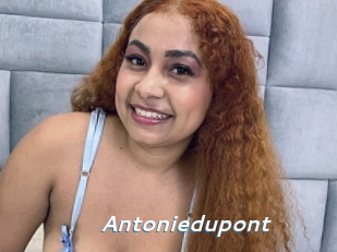 Antoniedupont