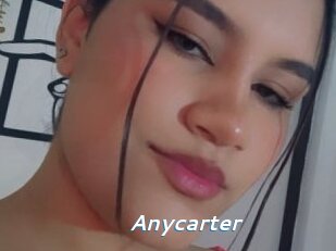 Anycarter