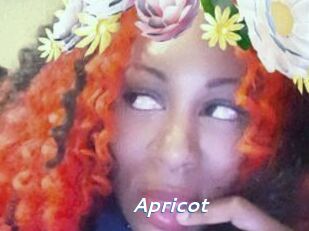 apricot Camgirls Live