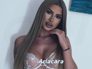 Ariacara