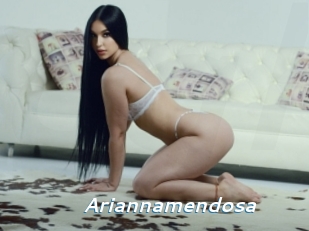 Ariannamendosa