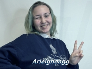 Arleighdagg