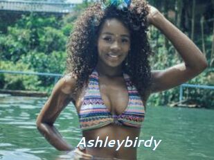 Ashleybirdy