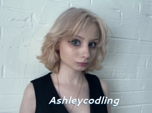 Ashleycodling