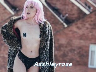 Asshleyrose