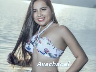 avachanel Camgirls Live