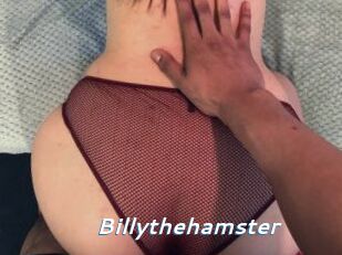 Billythehamster Camgirls Live