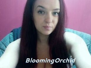 BloomingOrchid