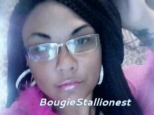 BougieStallionest