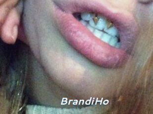 BrandiHo