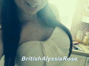 BritishAlyssiaRose