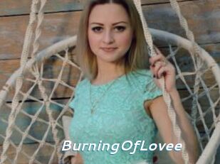 BurningOfLovee