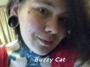 Buzzy_Cat